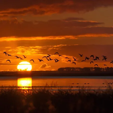 Kompassrose Appartamento *