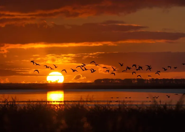 Kompassrose 公寓 *